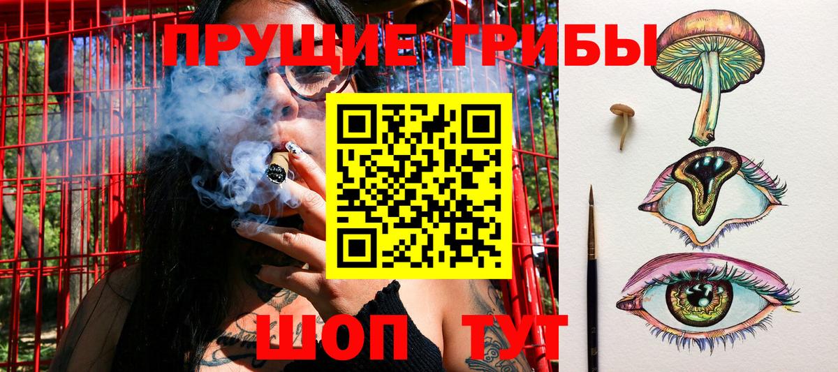 Вологда  Галлюциногенные грибы GOLDEN TEACHER  Вход с VPN 