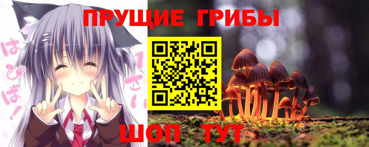 Галлюциногенные грибы Magic Shrooms Вологда